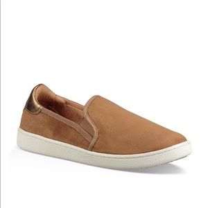 UGG Cas sneakers